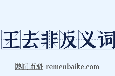王去非反义词是什么意思的图片